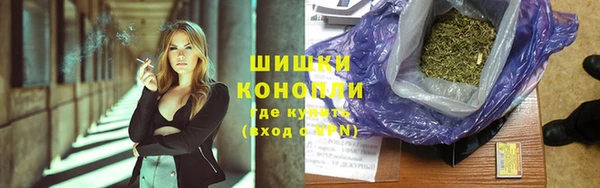 ГАЛЛЮЦИНОГЕННЫЕ ГРИБЫ Наволоки