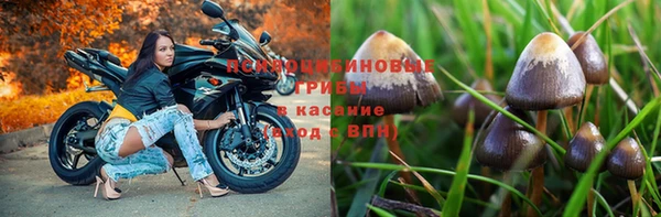 ГАЛЛЮЦИНОГЕННЫЕ ГРИБЫ Наволоки
