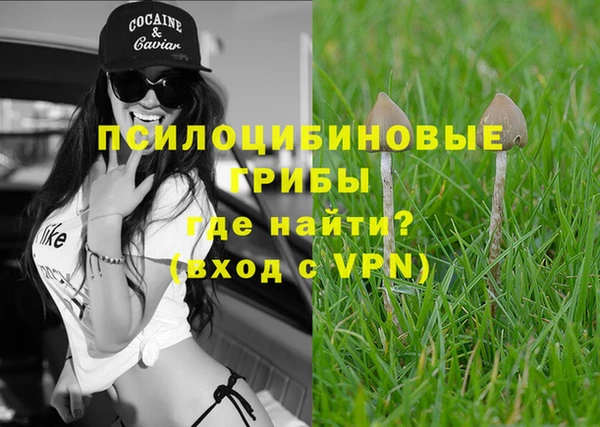 ГАЛЛЮЦИНОГЕННЫЕ ГРИБЫ Наволоки