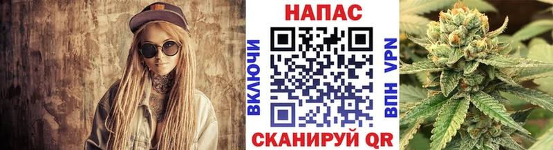 Марихуана семена Черноголовка